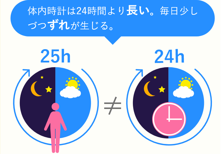 体内時計は24時間より長い。毎日少しずつずれが生じる。