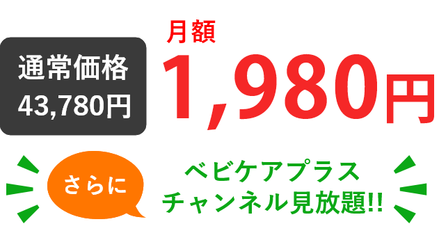 月額について